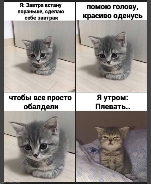 Картинки с надписями и всякие жизненные фразы 16.1.21