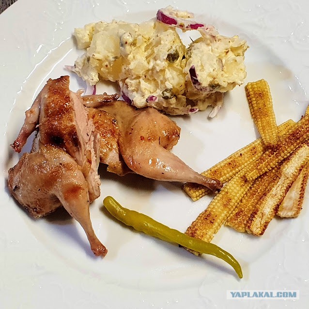 #ДРКулинарии2021 - Перепелки на гриле.