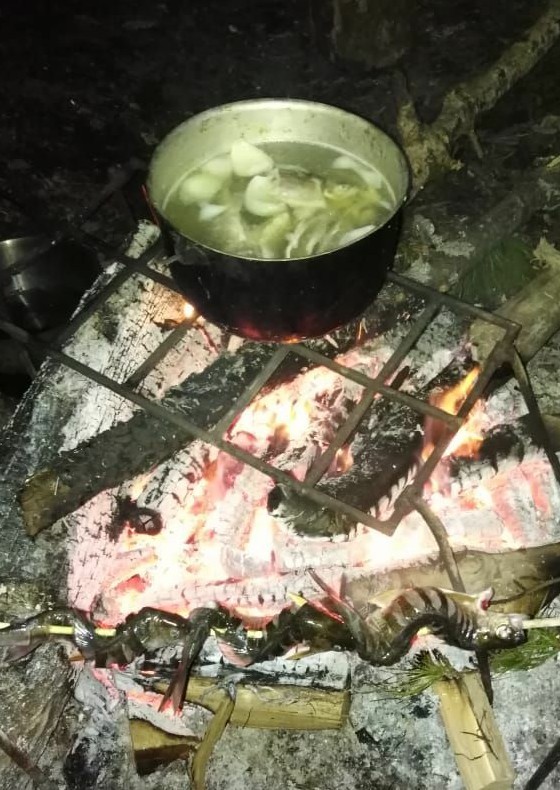 Лето, речка, караси