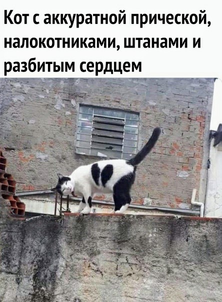 Картинки и мемы для настроения 13.04.2021