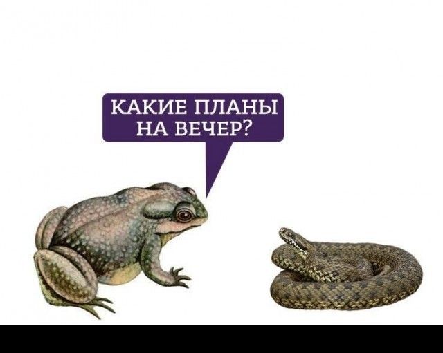 Дагестанец зарезал чеченца в Москве
