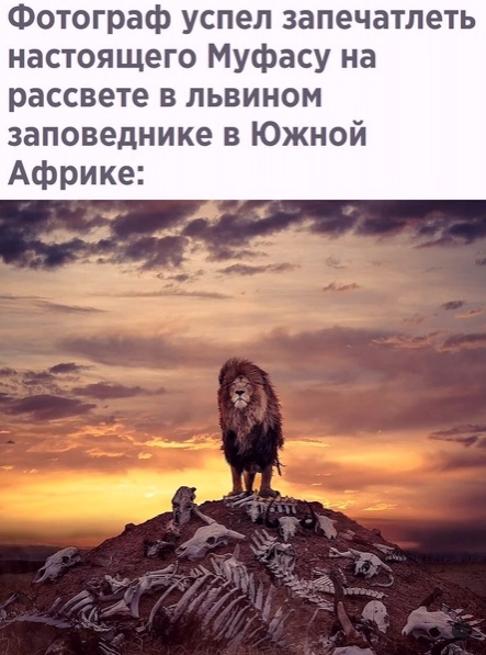 Картинки и мемы для настроения 03.08.2021