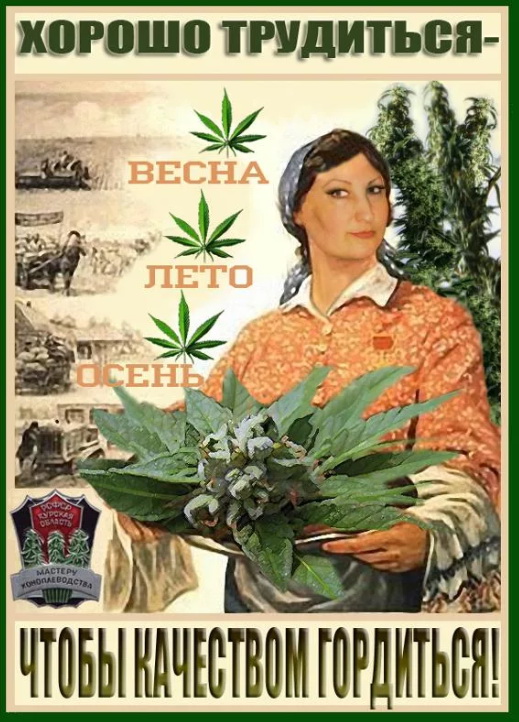 Что мы увидели в захваченной талибами части Афганистана: их режим мягче не стал