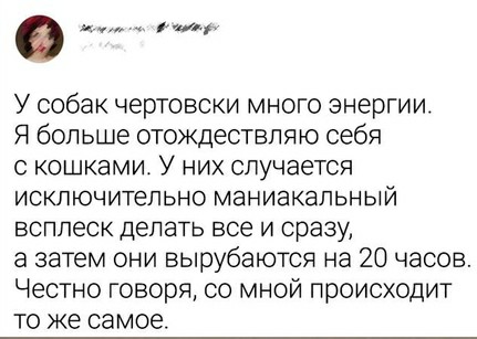 Картинки и мемы, всем прекрасных выходных
