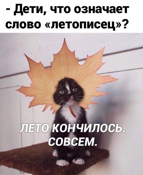 Баянисто-небаянистый юмор 8.01.22