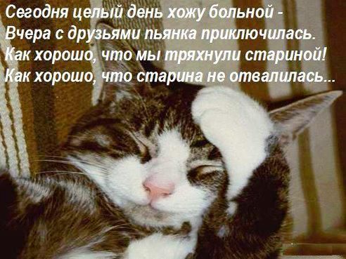 Алкопост 4.02.22