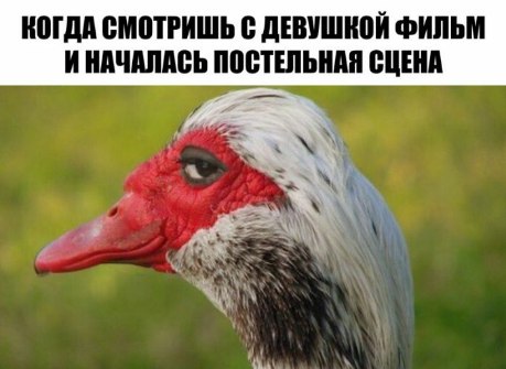 В пятницу чуть-чуть, уж точно можно деграднуть!