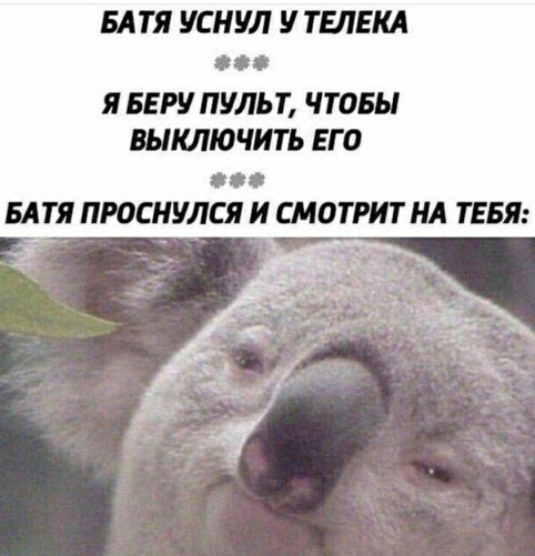 Картинки и мемы для настроения - 21