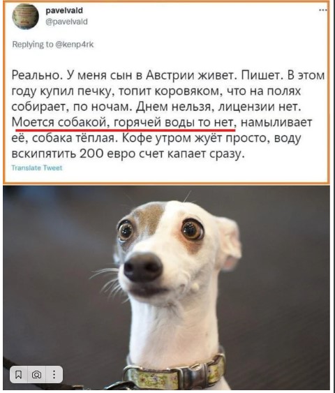 Победная поступь идиотизма по планете.