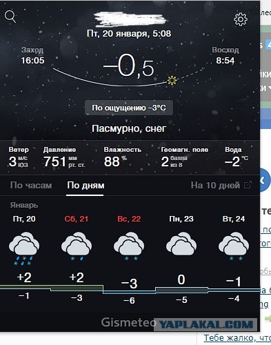 Дубак