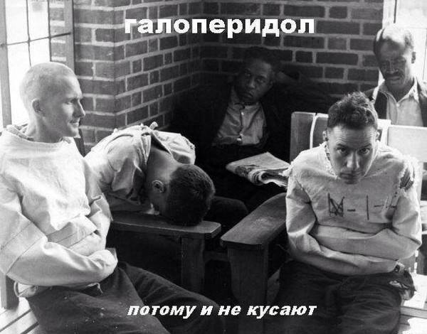 Дичь