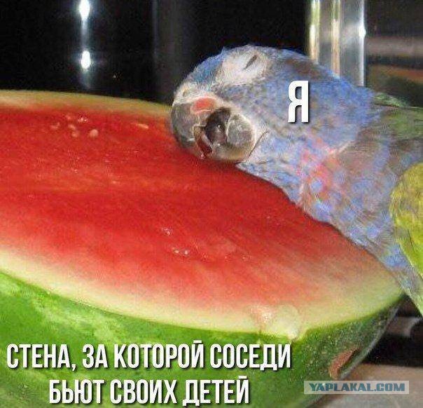 25 картинок для настроения