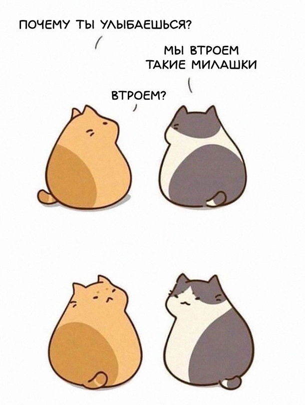 Картинки и мемы для настроения - 137