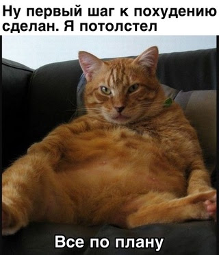 Картинки и мемы для настроения - 181