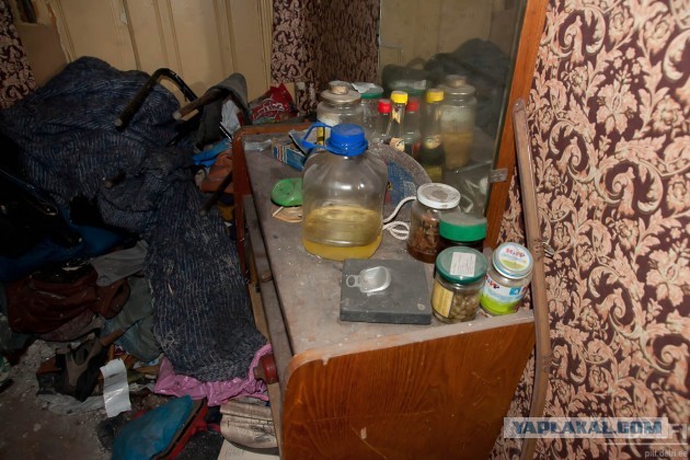 Все, что вы хотели знать об Эстонии...