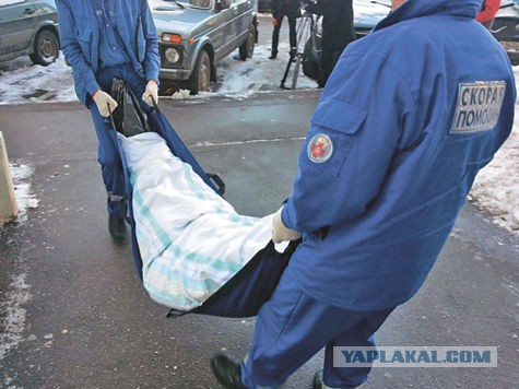 Они обокрали Россию