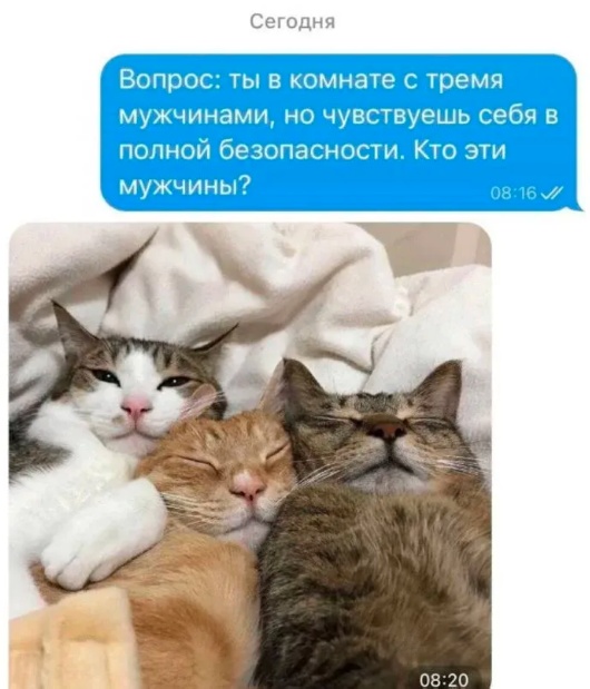 Забавные комментарии из социальных сетей (18.12.23)