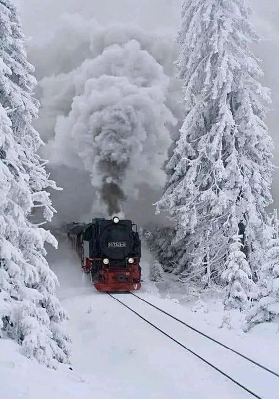 Прикольные и просто красивые картинки 26.01.2024