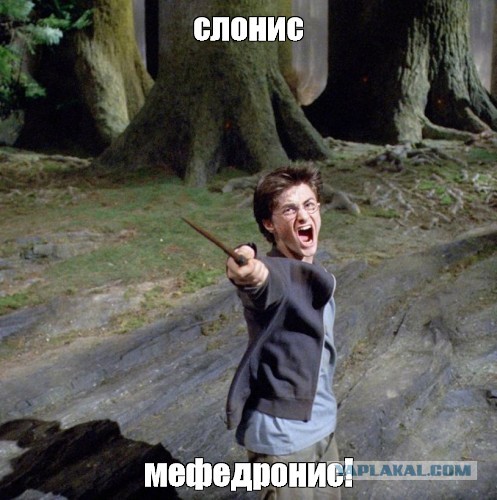 Анекдот дня