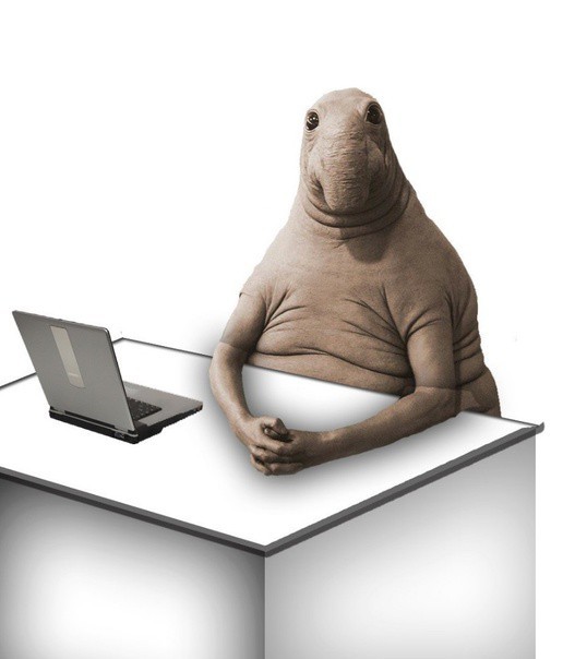 СлонотЯп-2. Начало