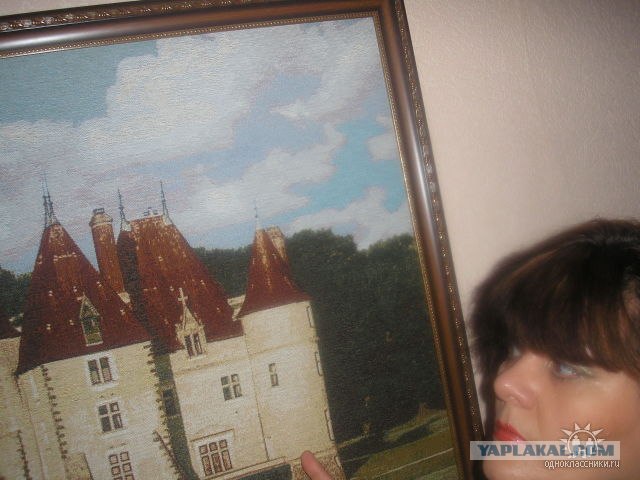 Дикие фото из социальных сетей