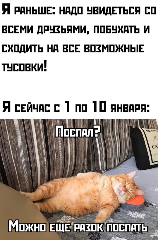 Весёлый полтишок 08.01.25