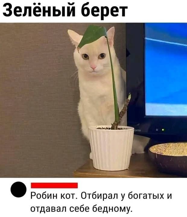 Забавные картинки, шутки из этих ваших интернетов