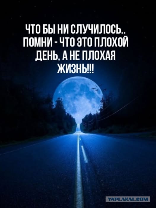 Картинки для деградации 56 (разной степени свежести)