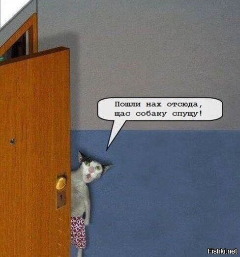 Дом под охраной