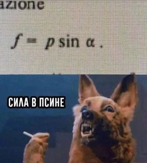Картинки для деградации 247 (разной степени свежести)