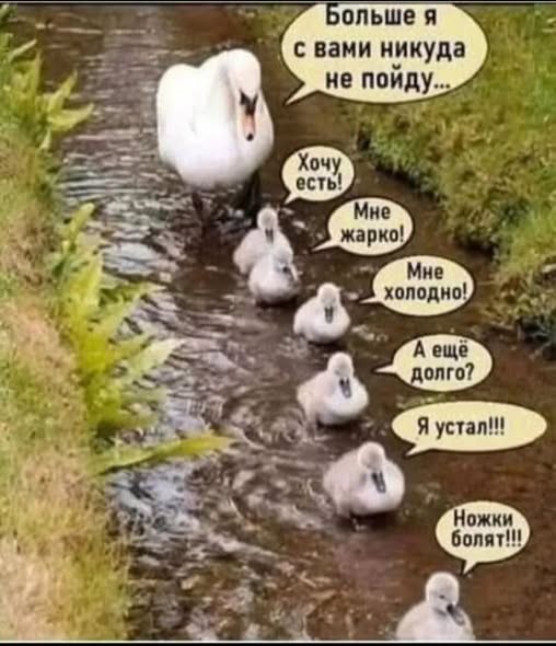 Немного картинок - продолжение 1З