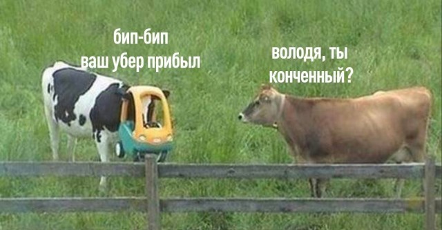 Картинки для деградации 261 (разной степени свежести)