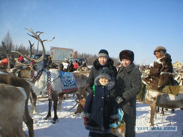 Якутия, Верхоянье
