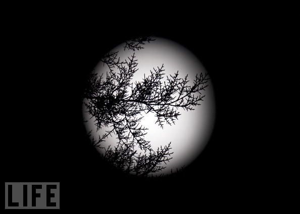 29 необычных фобий в фотографиях (29 фото)