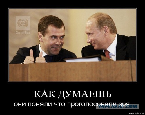 Хозяева идут