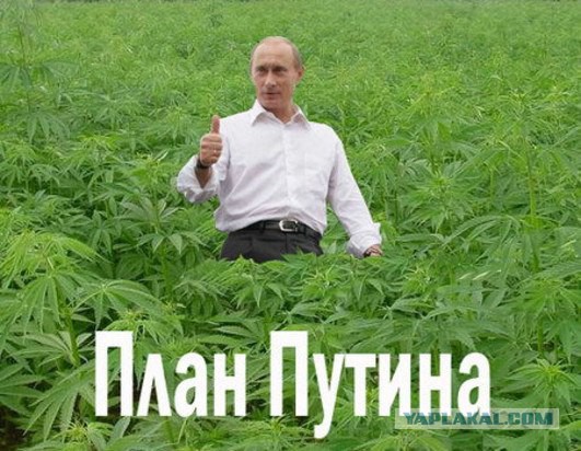 Внешняя политика России меняется