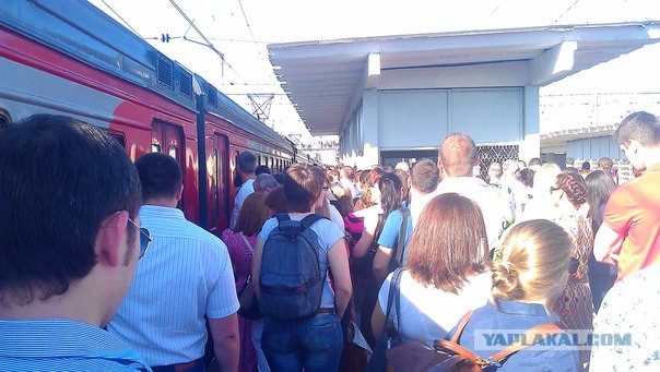 В Подмосковье столкнулись два поезда