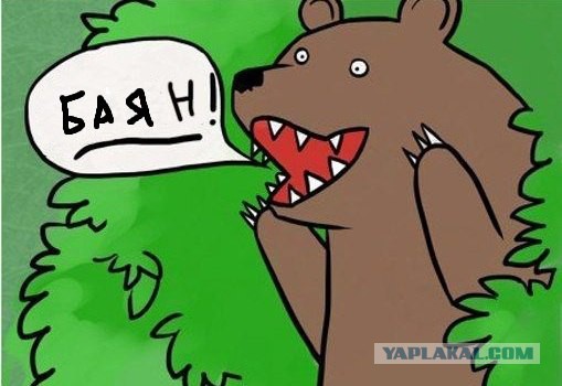 Медведи почти на все случаи жизни
