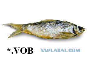 Как запомнить формат файла