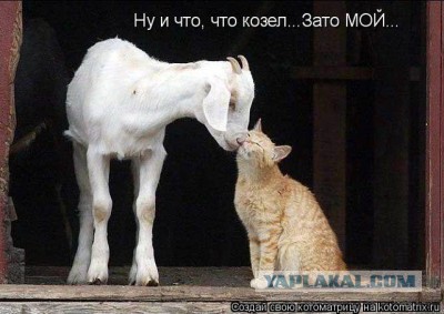 Поднимаем настроение