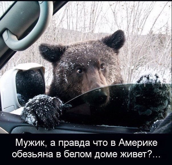 Обама испугался
