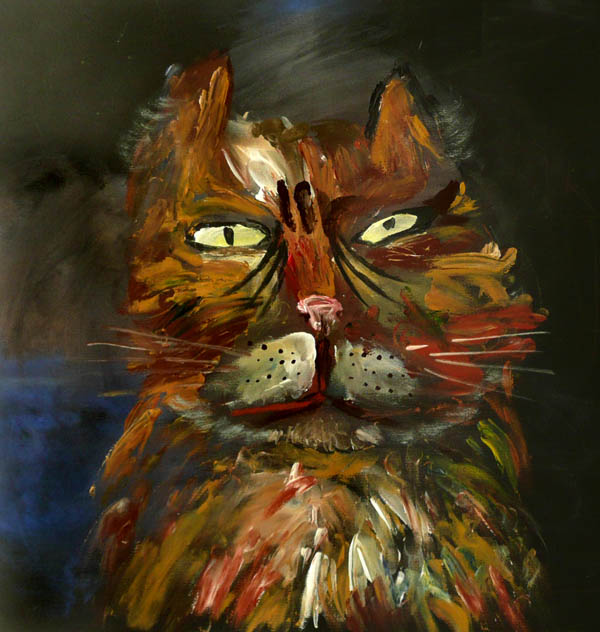 Моим котам
