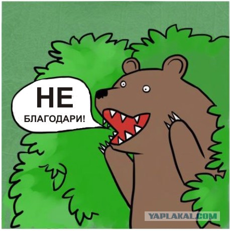 Как медведь семью не дал разрушить