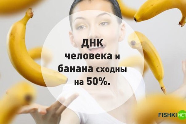 25 интересных фактов.