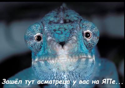 Плюшкиным посвящается