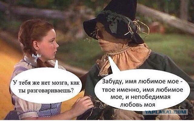 Два ТХ и авто