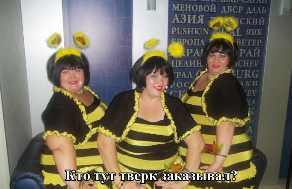Картинки из сети