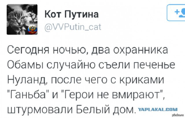 10 политических картинок часть 14