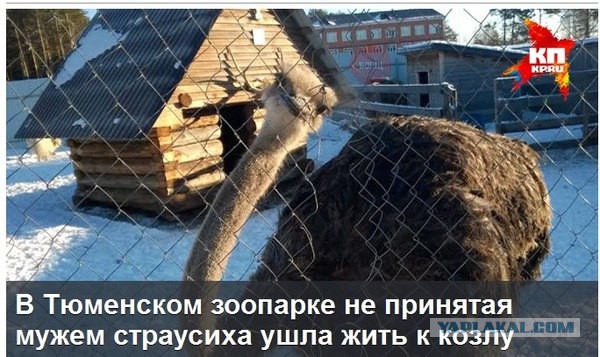 картинки на выходные