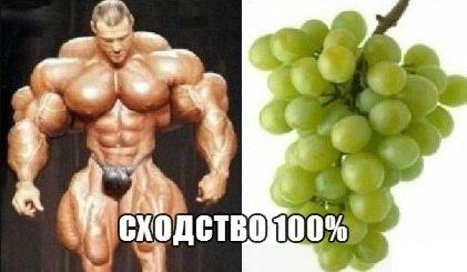 Картинки и гифки